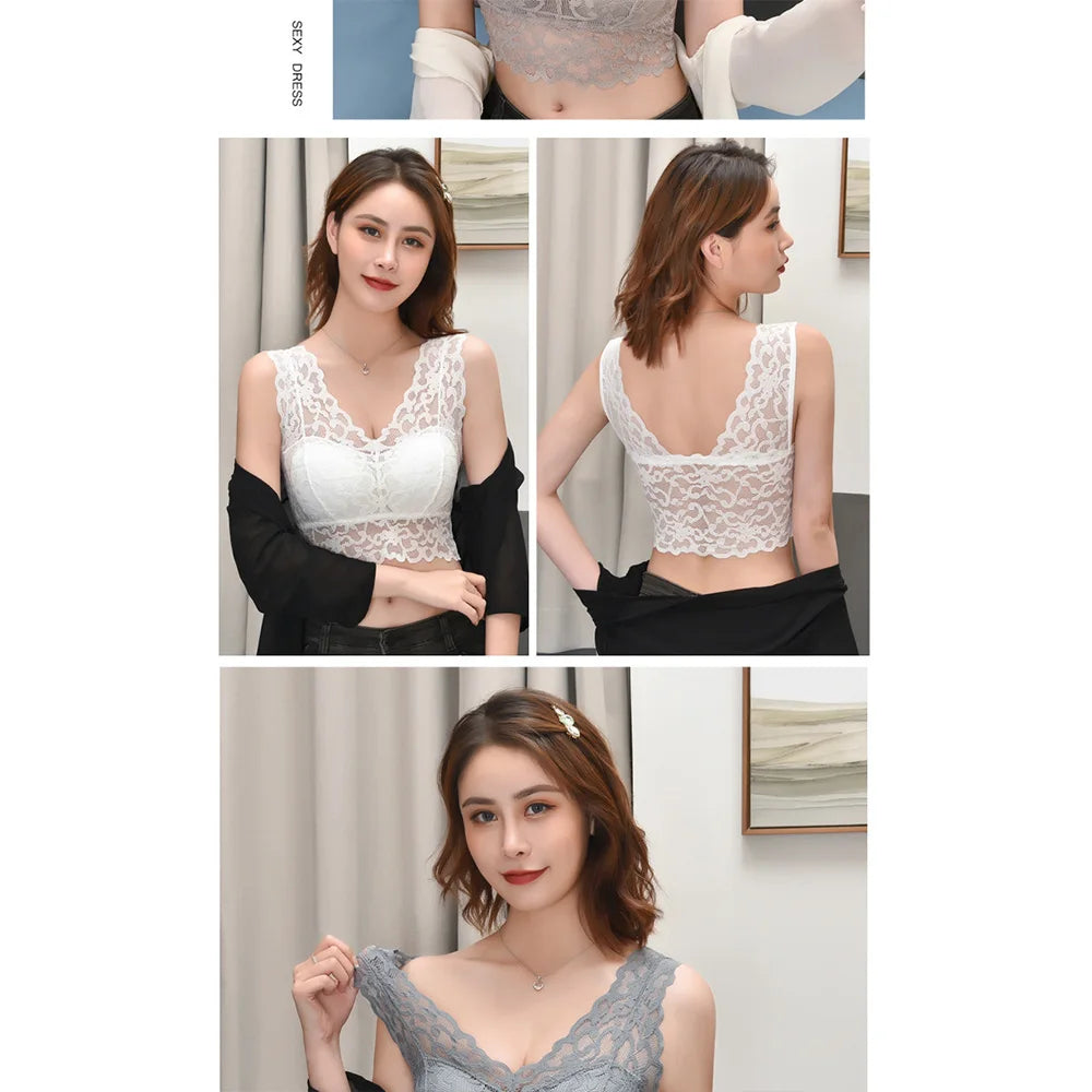 Lace Bralette Beauty H5f24907a93fb4eaa800b6c4e15689ee98