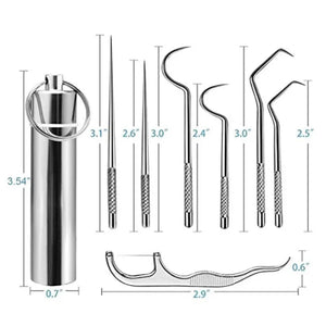 Stainless Steel Toothpick Set