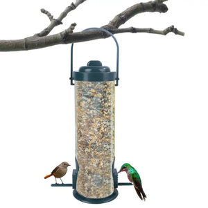 Automatic Parrot Feeder